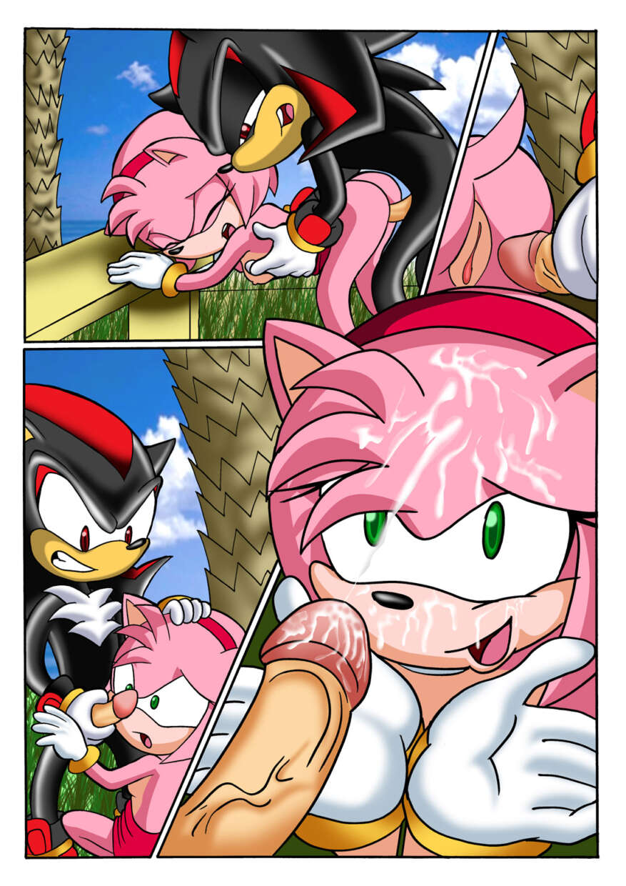 Sonic XXX Project 1 French page06 87593246.jpg