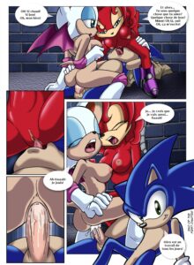 Sonic XXX Project 1 French page18 End Of The First Chapter 02694857.jpg