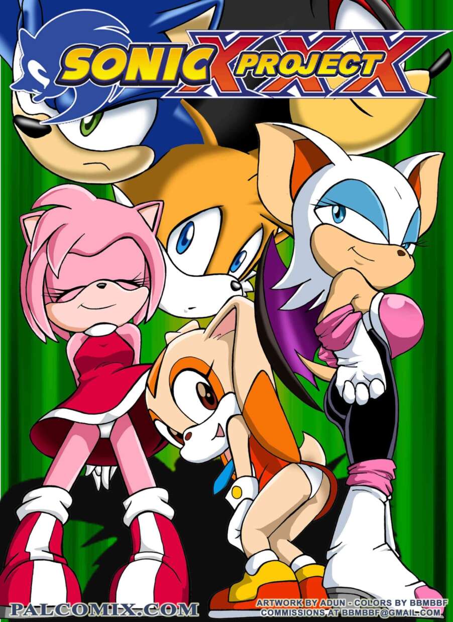 Sonic Project 1 page00 Cover   76539840 1455x2000.jpg