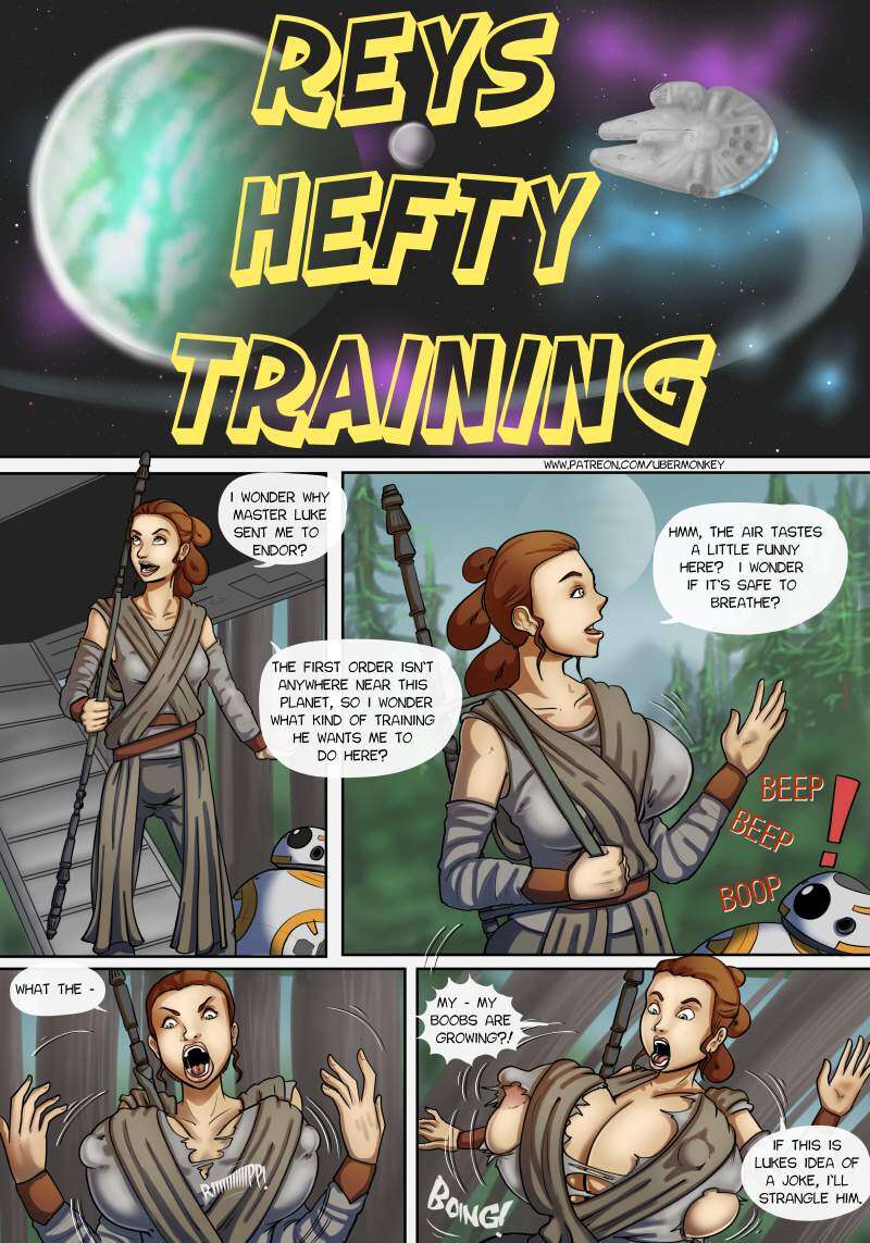 Reys Hefty Training page00 Cover   95601724 lq.jpg