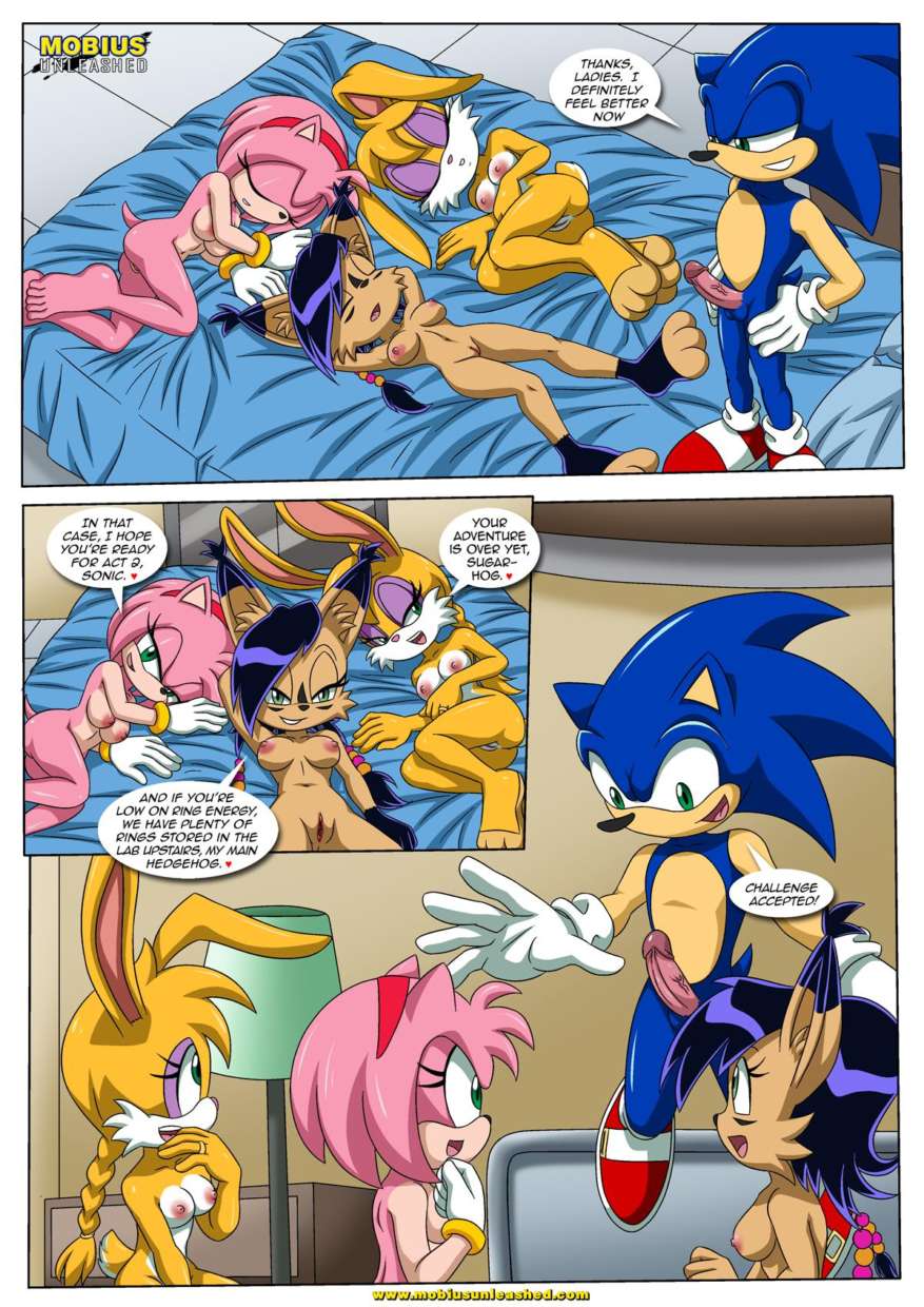 Sonic And Sally Break Up page14   84126539 lq.png
