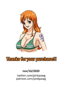 A Chance With Nami English page11 Info 13728650 1413x2000.jpg